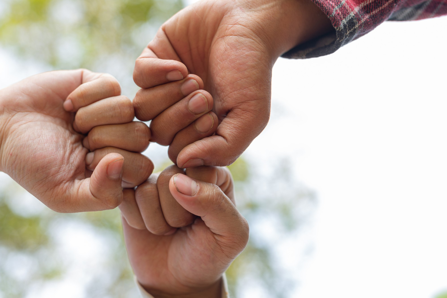 people-looking-picture-album-scaled-img